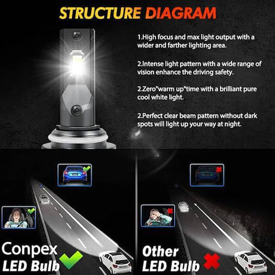 Conpex Λάμπες Αυτοκινήτου H8 Canbus LED 6000K Ψυχρό Λευκό 12V 2τμχ