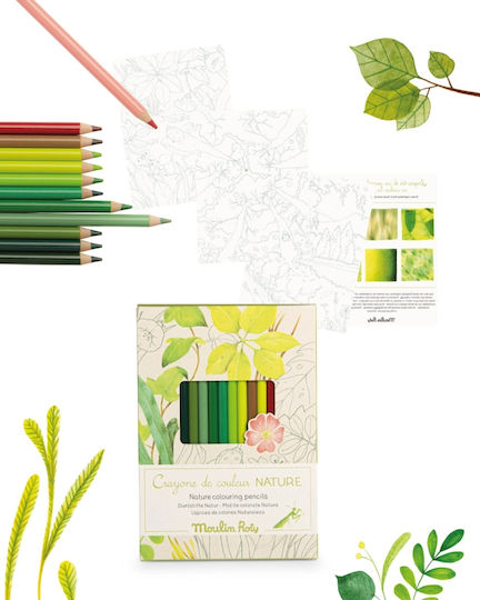Nature Coloring Set Moulin Roty
