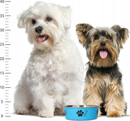 Barry King Metallic Bowl Food for Dog & Cat 300ml 12cm in Blue Color