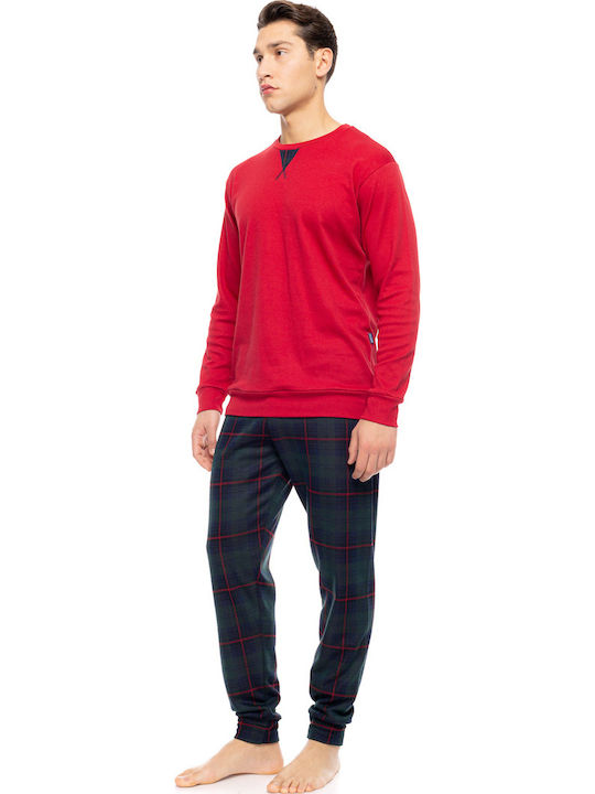 Ulisse Bordo, Pine Green Ulisse Bordo, Pine Green