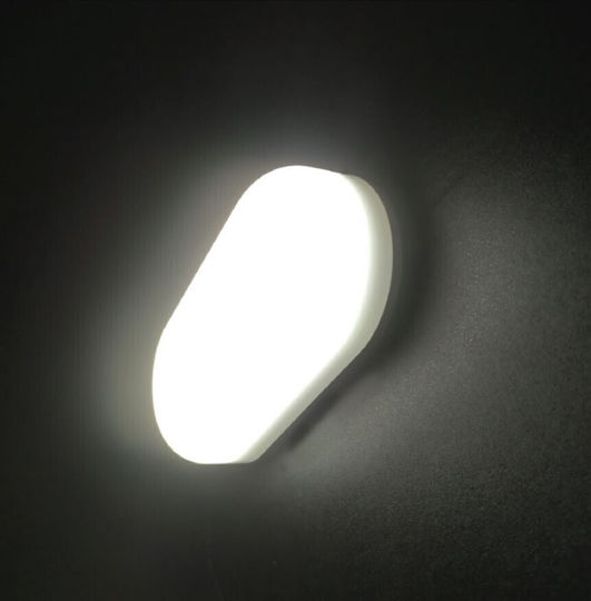 Waterproof Ceiling Lamp LED 12W 6000K Waterproof Ceiling Lamp LED 12W 6000K
