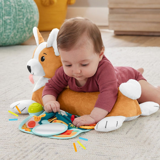 Fisher Price Perna De Timp Tummy Time Pentru Nou-Născuți