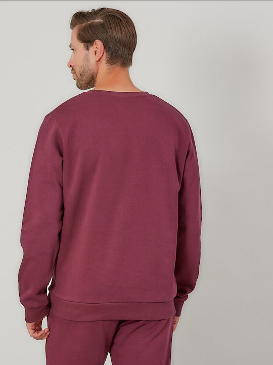 Burgundy Sweatshirt