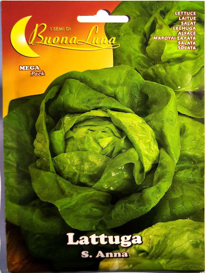 Planty ΕΠΕ Σπόροι Μαρουλιού