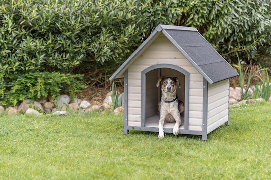 Trixie Hundehaus Außenbereich Gray