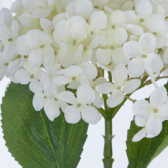 Florista Декоративно Растение Хортензия 72см Бяло Бяло Дълбочина 20см X Ширина 20см X Височина 72см