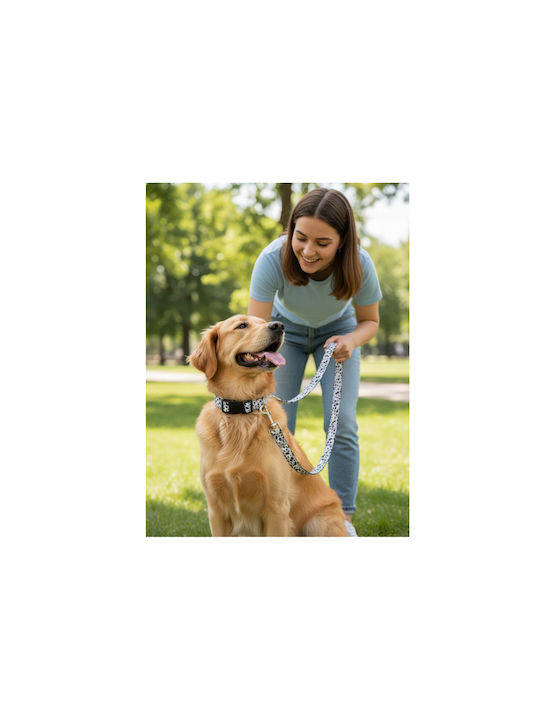 Set Hundehalsband & Leine für Hunde Leo Muster Weiß Klein