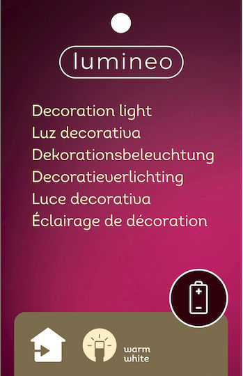 Lumineo Santa Claus Figure Polyresin Micro Led Warm White 30cm