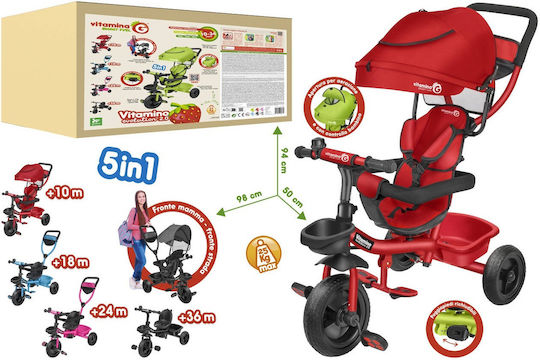 Vitamina G Vitamina G Kinderdreirad Wandelbar mit Elterngriff 5 in 1 für 10 Monate Rot