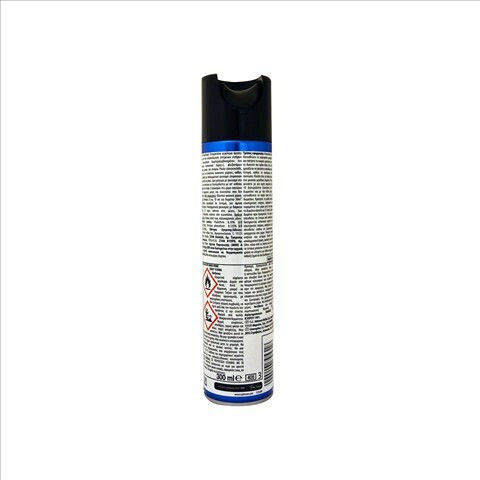 Raid Εντομοκτόνο Spray για Κουνούπια / Μύγες 300ml