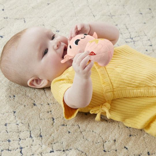 Fisher Price Produs de dentiție