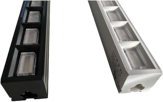 Lightplanet Neon Lampa LED