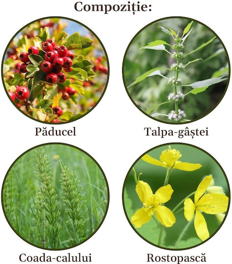 Faunus Plant Τσάι 90gr