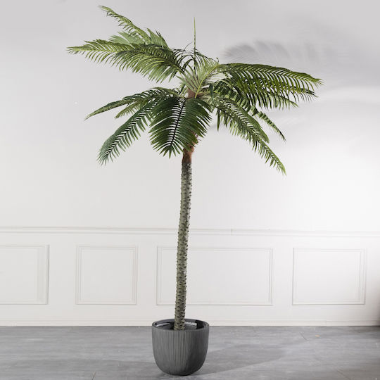 Supergreens Artificial Robellini Palm Tree Green 300 cm