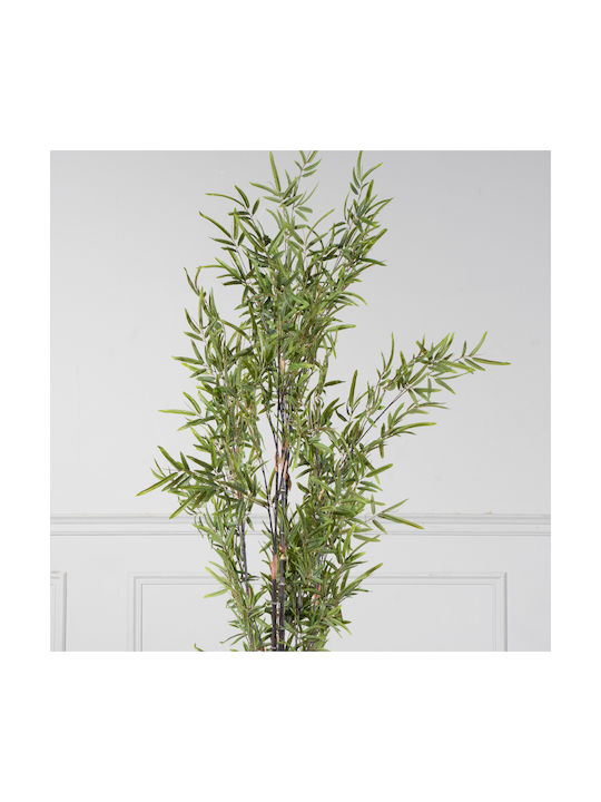 Μπαμπού Εξωτερικού Χώρου 180cm Supergreens