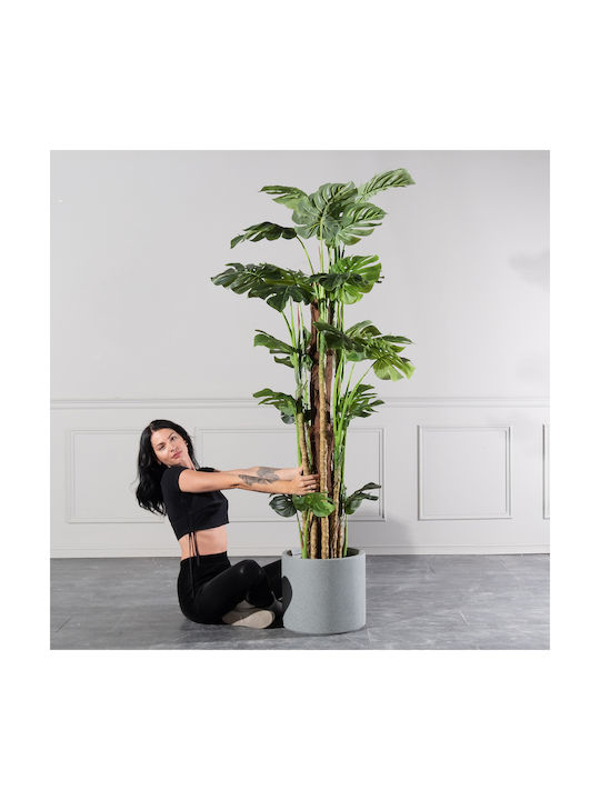 Μονστέρα Εξωτερικού Χώρου 195cm Supergreens