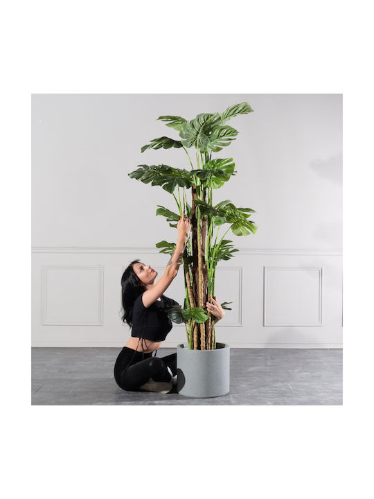 Μονστέρα Εξωτερικού Χώρου 195cm Supergreens