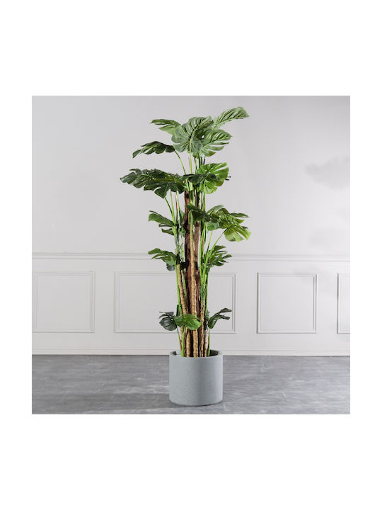 Μονστέρα Εξωτερικού Χώρου 195cm Supergreens