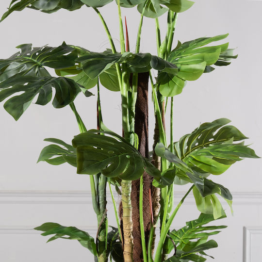Μονστέρα Εξωτερικού Χώρου 195cm Supergreens