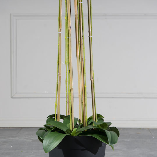 Arbore Artificial de Exterior Orhidee White 180cm Supergreens