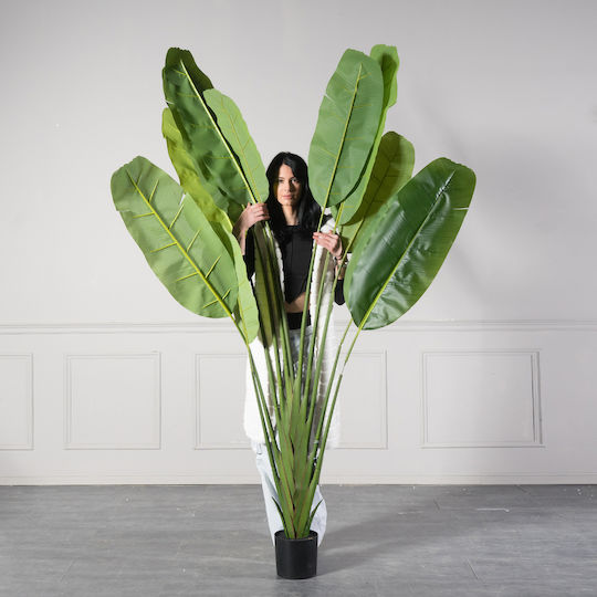 Artificial Outdoor Tree Bird of Paradise Green 250cm Supergreens