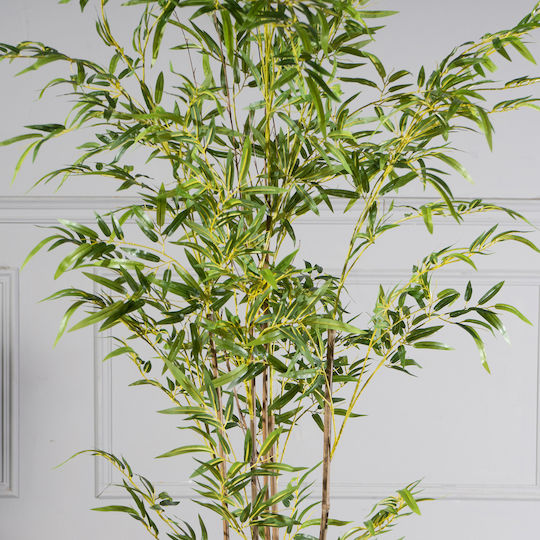 Φίκος Εξωτερικού Χώρου 150cm Supergreens