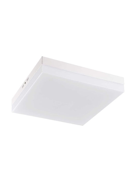 Lightplanet LED Alb Natural Spot în Culoare Negru