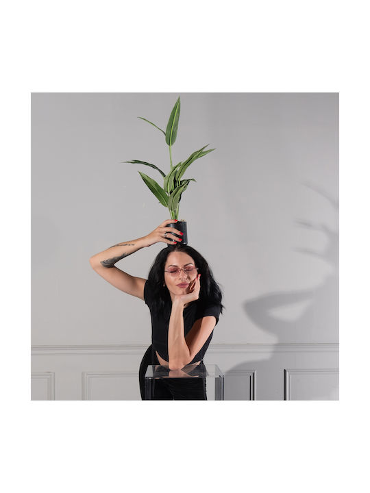 Artificial Outdoor Tree Bird of Paradise Green 60cm Supergreens
