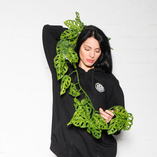 Dekorative Girlande Monstera 115cm Supergreens