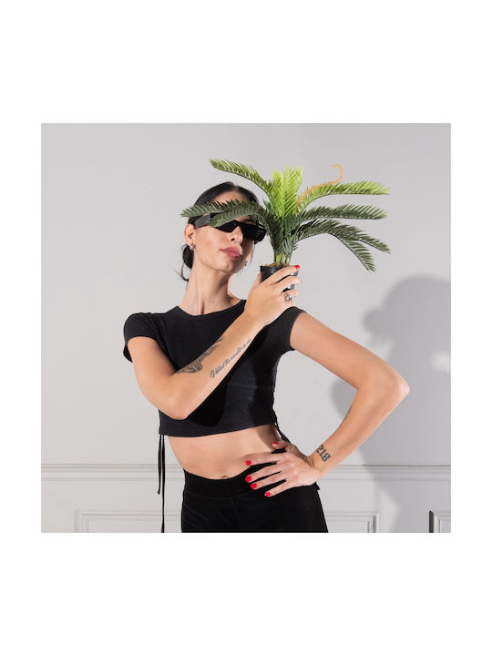 Φοίνικας σε Γλαστράκι 25cm Supergreens