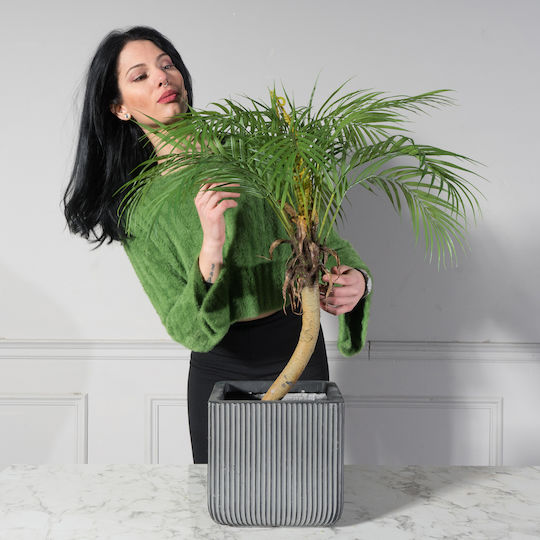 Plantă Artificială în Ghiveci Palmier Green 80cm Supergreens