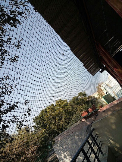Bird Protection Pigeon Bird Repellent Net 0.02m