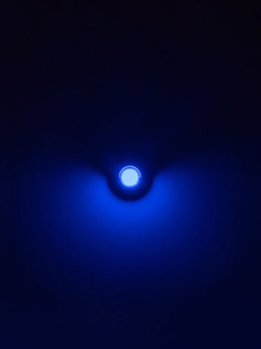 kelvo Nexa Wall-Mounted Outdoor Lighting LED IP65 6W 11x9x11cm