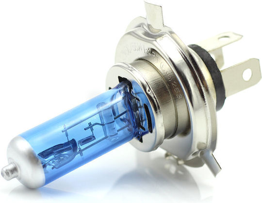 CarGuard Lampen Auto H4 Halogen Weiß 12V 55W 2Stück