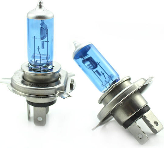 CarGuard Lampen Auto H4 Halogen Weiß 12V 55W 2Stück