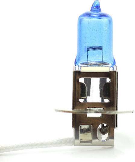 CarGuard Λάμπες Αυτοκινήτου H3 Αλογόνου Λευκό 12V 55W 2τμχ