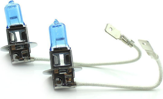 CarGuard Λάμπες Αυτοκινήτου H3 Αλογόνου Λευκό 12V 55W 2τμχ