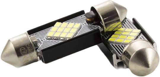 CarGuard Lampen Auto C5W / C10W Canbus LED Weiß 12V 3W 2Stück