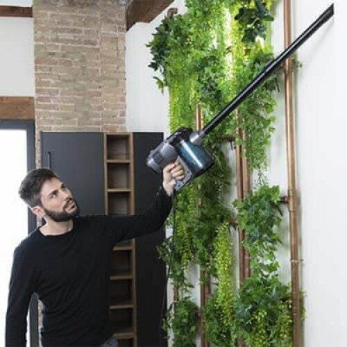 Cecotec Thunderbrush 560 Elektrisch 2-in-1 Staubsauger Stick & Handgerät 600W Schwarz