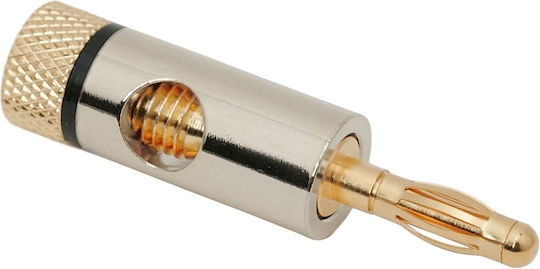 Banana Plug Gold-plated Max 4mm Cable