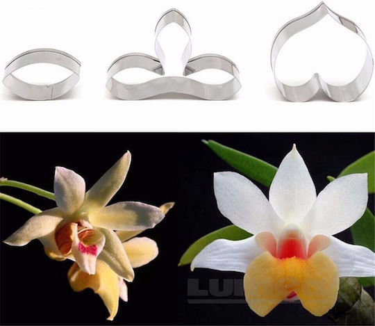 Orchid Cutter 3 Pieces Lumea