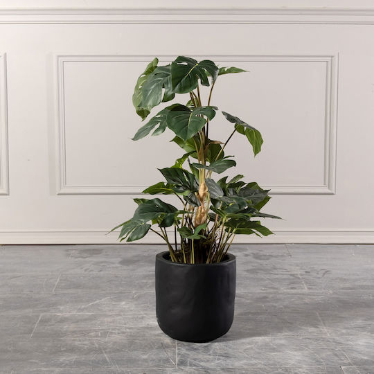 Supergreens Topf Beton 25x25x25cm.