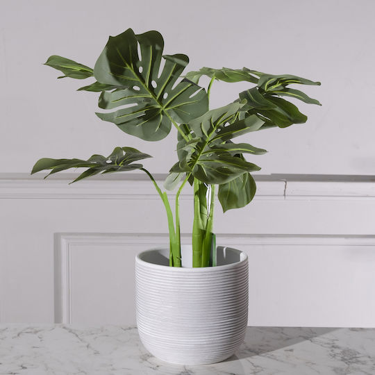 Supergreens Κασπώ Λευκό 22x22εκ.