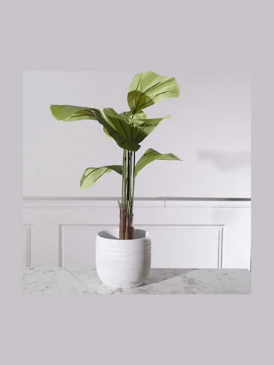Supergreens Κασπώ Λευκό 24x24εκ.