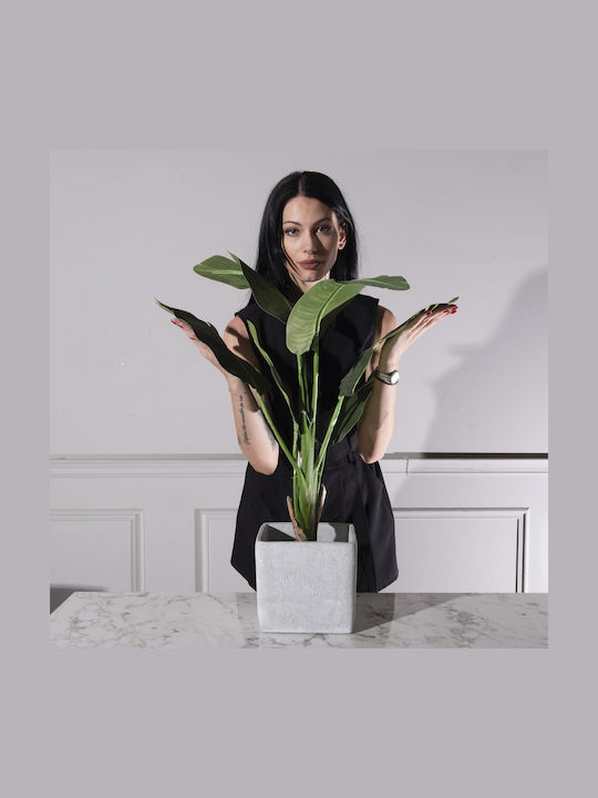 Supergreens Κασπώ Τσιμεντένιο Γκρι 21x21x20.5εκ.