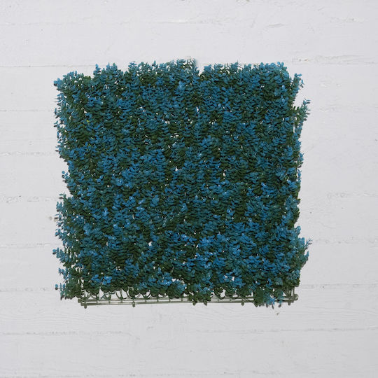 Supergreens Panou artificial de frunziș Moss Heatherstar Albastru 50x50cm