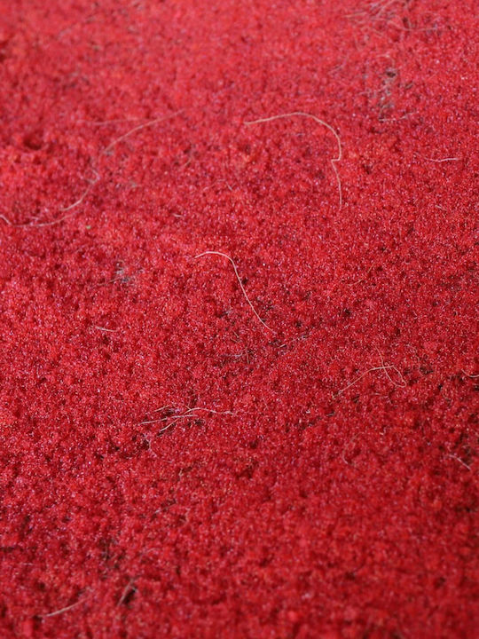 Supergreens Συνθετικό Πάνελ Φυλλωσιάς Moss Κόκκινη 1x1m