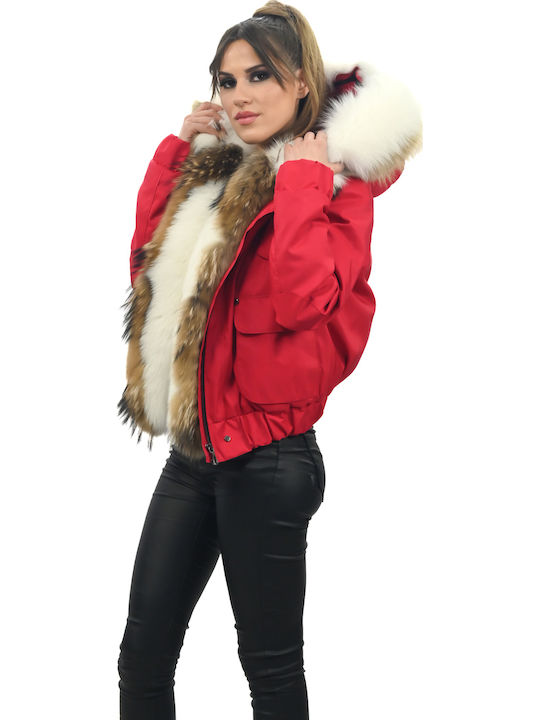 Leatherland