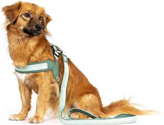 Max & Molly Dog Leash/Lead Strap in Black color