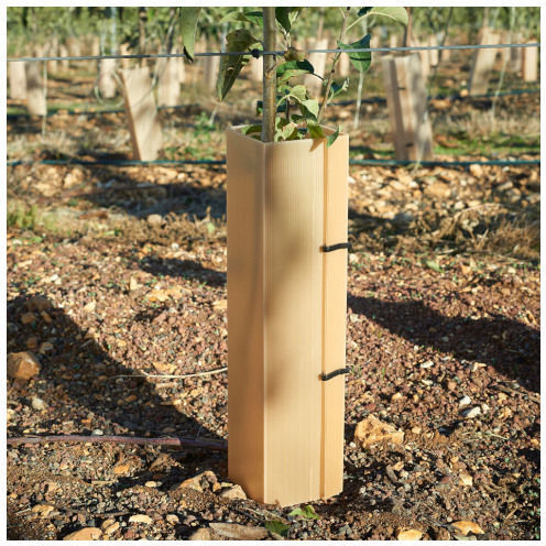 Προστατευτικό Φυτών Plant Protector 1 Τμχ